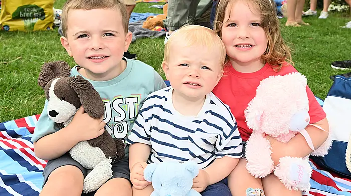 Timoleague children Ciarán and Daithí Sheehan with Caoimhe O'Donovan enjoying the teddy bears picnic at the Courtmacsherry Harbour Festival.  (Photo: Martin Walsh)