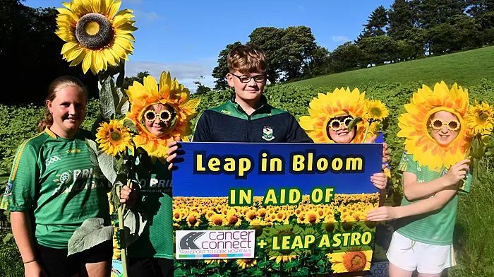 Aéla French, Odhran French, Aaron Jennings, Victoria Jennings and Harry O'Sullivan getting ready for Leap in Bloom, the August bank holiday weekend sunflower fest. A field of sunflowers has been grown to sell in aid of Cancer Connect and for an Astroturf pitch for the village. There will be tea, coffee and live music in the field. There will also be a station in the church yard selling sunflowers. (Photo: Anne Minihane)