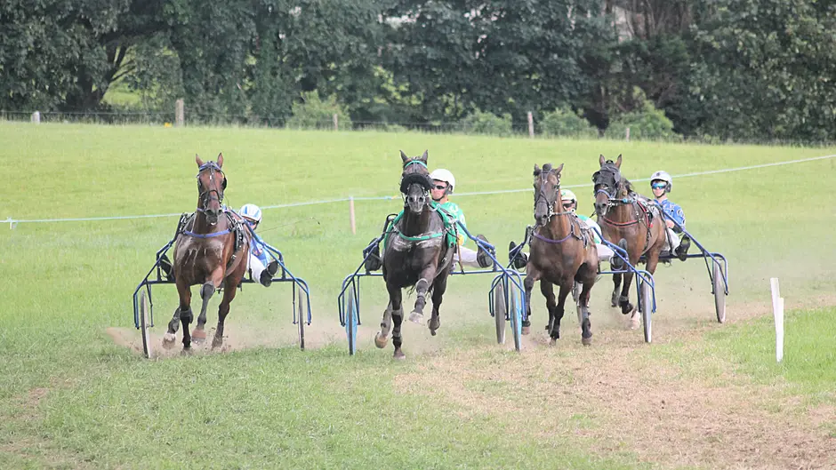 Duc D’Arry dominates at Lyre to edge closer to milestone Image
