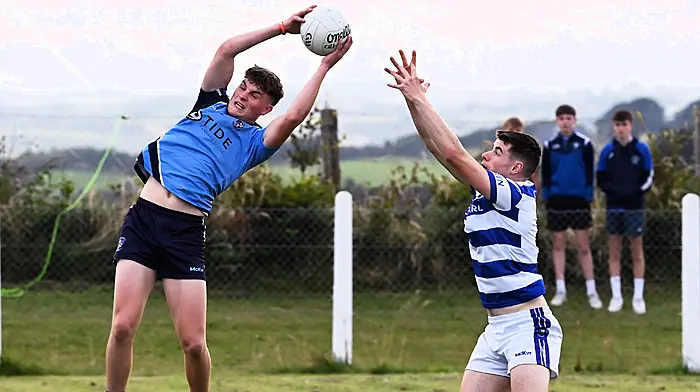 Barryroe footballers up and running Image
