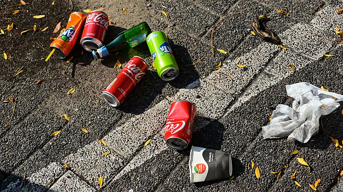 Only 3 wardens to patrol litter and 57 fines in entire year Image