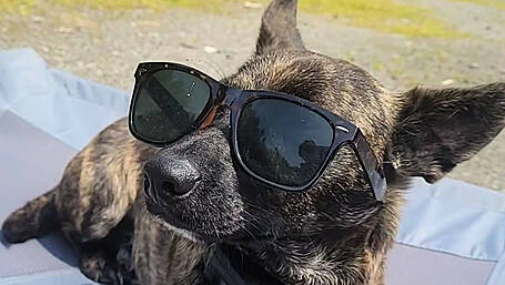 Reader’s Picture of the Week Image