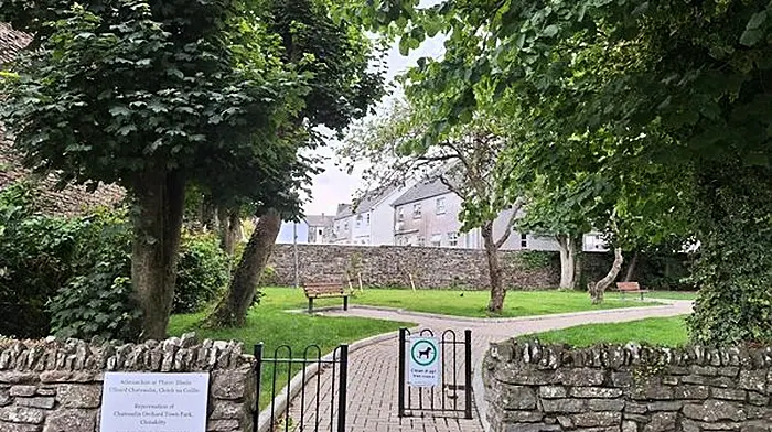 Upgrade breathes new life into scenic orchard town park in Clonakilty Image