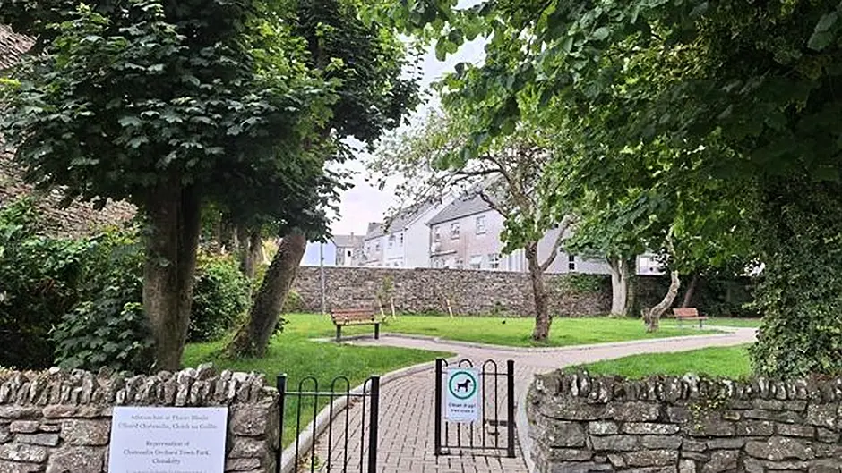 Upgrade breathes new life into scenic orchard town park in Clonakilty Image