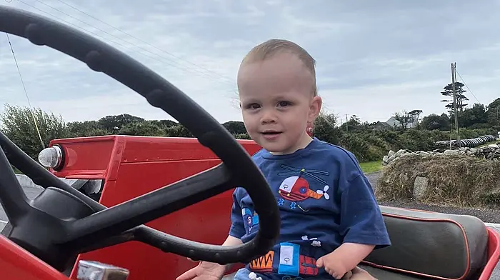 Odhran O'Regan enjoying recent day out at the Schull Show.