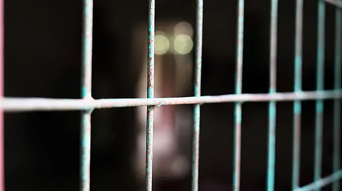 Bantry garda cells in line for upgrade Image