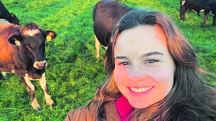 Aoife Dullea: TikTok and Farm to Fork Image