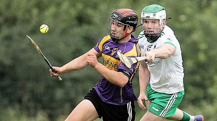 ‘I’m hoping to play as long as I can with Carbery,’ says rising dual star Liam Hourihan Image