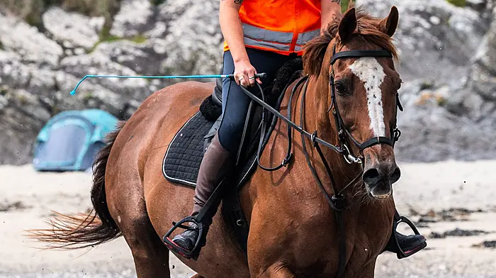 Fiona Sheridan,  Rosscarbery, with Tanzer on Owenahincha Beach. (Photo: Andy Gibson)