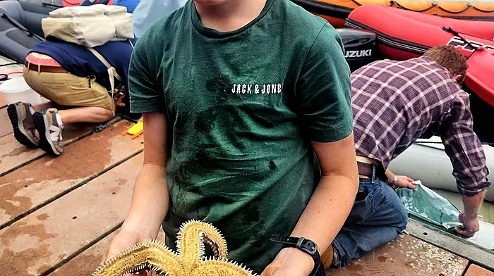 Harvey Payne Lynch is proud, but unsurprised, that he won the award for the Most Unusual Fish category caught during the crab fishing event during the Schull Regatta.