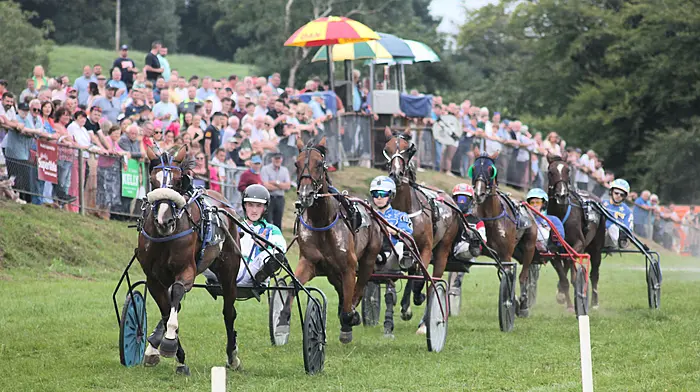 Doubles for Mike O’Mahony and Matthew O’Reilly at Ballabuidhe Image