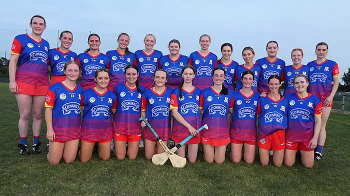Carbery in control of their destiny after statement win over Seandún in county senior camogie championship Image