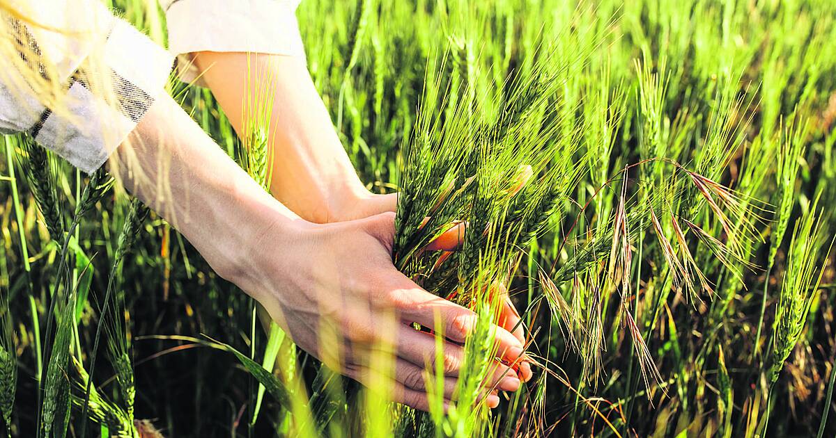 ‘Going organic was a lifestyle change’