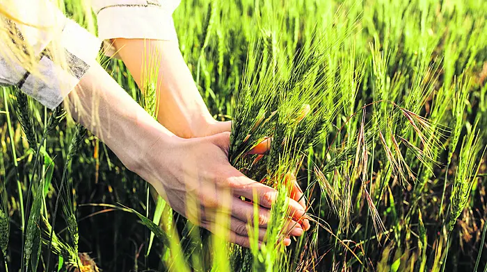 ‘Going organic was a lifestyle change’ Image