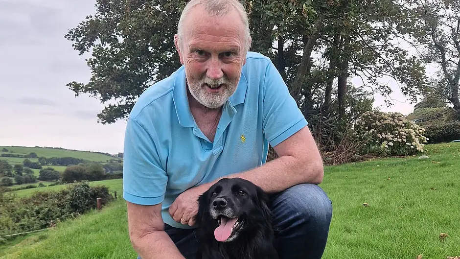 Pet memorial site launched Image