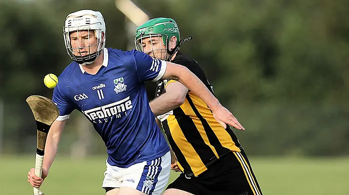 Kilbree book spot in knockout stages with one game to spare Image