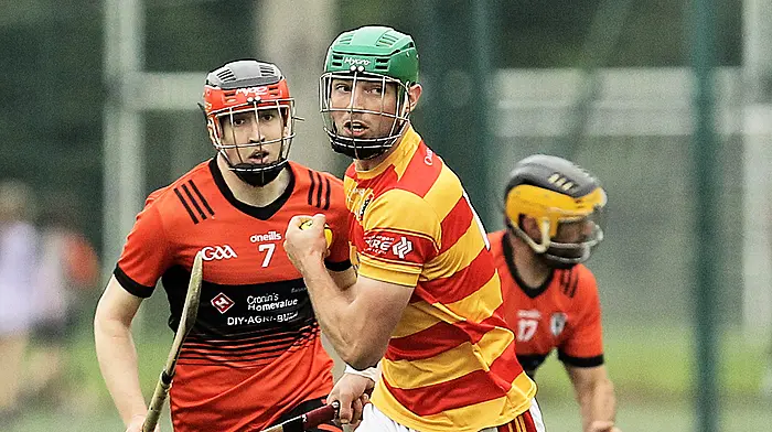Impressive Newcestown flex their muscles in Carbery Image