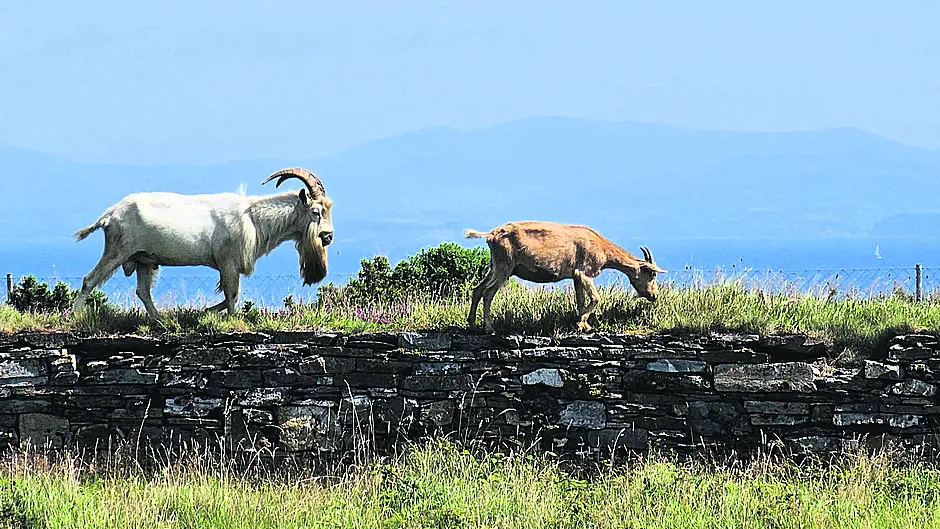 Reader's Picture of the Week Image