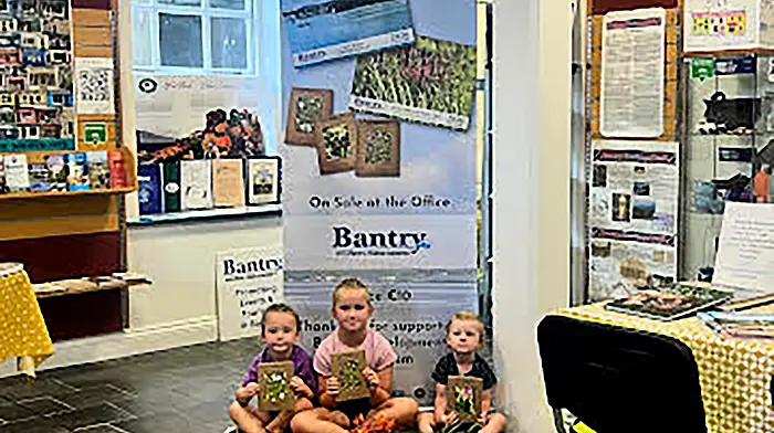 Celebrating community and nature at Bantry Tourist Office Image