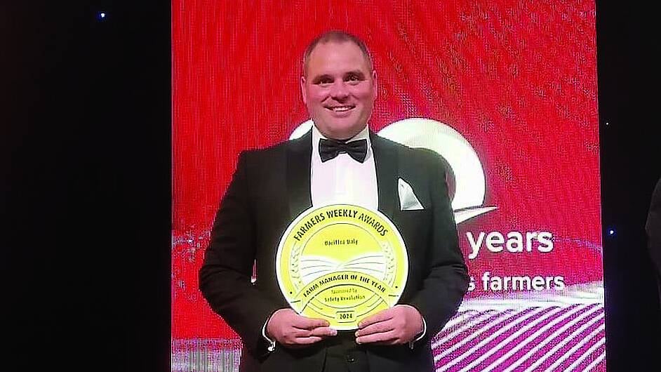 Labour of love: How Skibbereen man Breiffni claimed top UK farming award Image