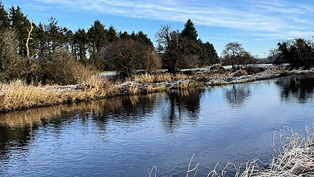 Reader’s Picture of the Week Image