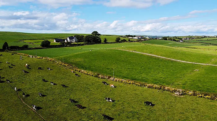 New scheme to help transitioning to organic farming Image