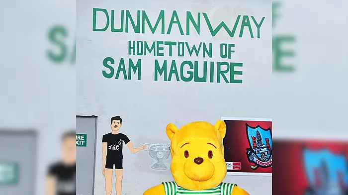 Exclusive: Dunmanway’s links to Winnie the Pooh confirmed Image