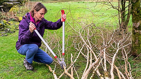 GARDENING: Keep busy during the big chill Image