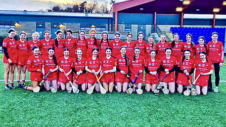 Carbery involvement in Cork camogie underage panels Image