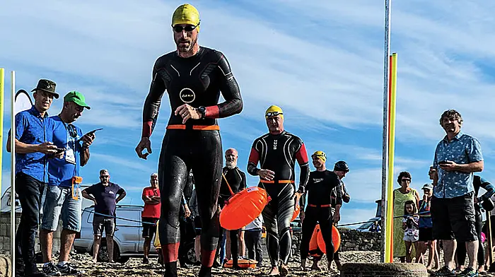 Galley Head Swim cancelled this weekend Image