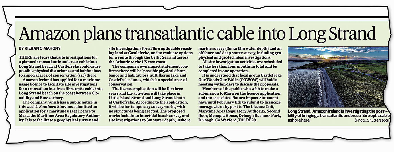 Social Democrats reps set to meet Amazon over plan for undersea cable at Long Strand Image