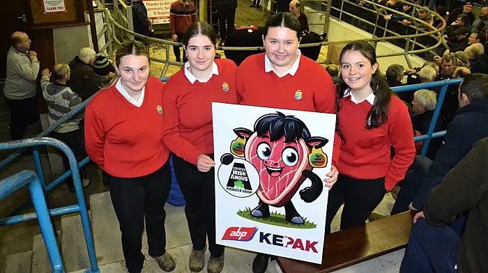 Clonakilty students learn on the job in Certified Angus competition Image