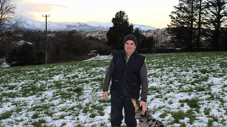 O’Donovans gearing up for calving season in Dunmanway Image