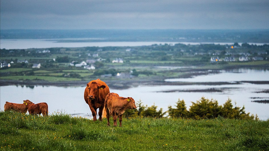 Rosscarbery IFA discuss Farming for Water Image