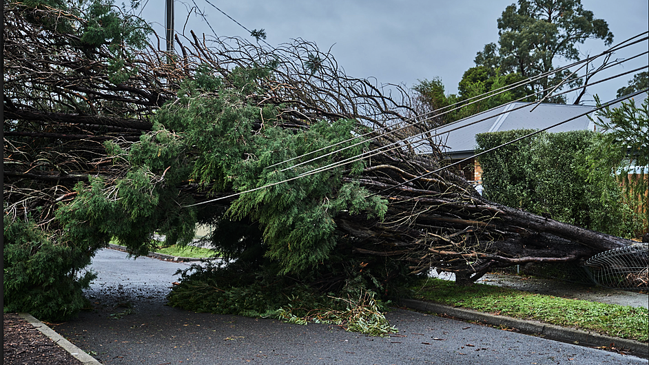 KNOW YOUR RIGHTS: Your rights during severe weather events Image