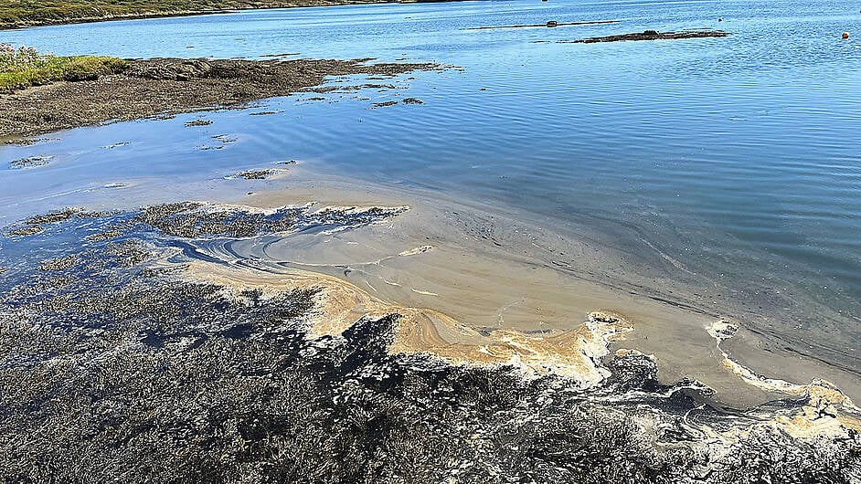 EPA urges Uisce Éireann to act on Ballydehob water discharges Image