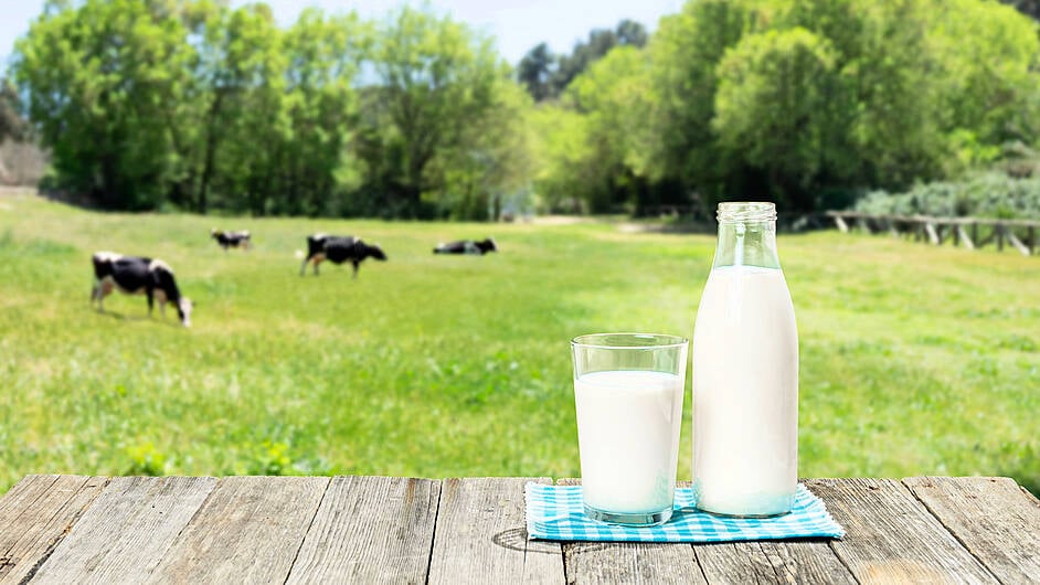 Milk prices hold steady for January Image