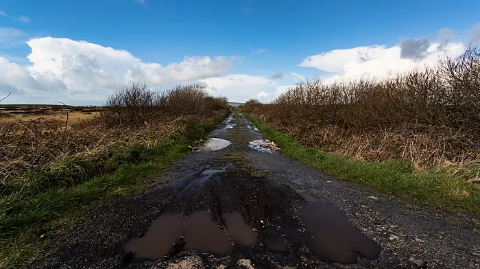 Roads funding for Cork increases but there’s ‘still not enough’ say councillors Image