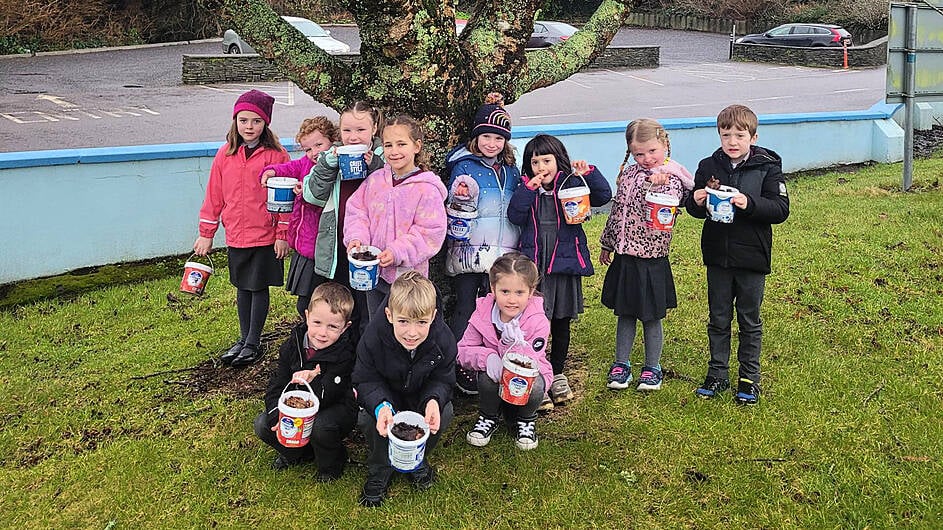 Wicklow trip for Union Hall NS school pupils Image