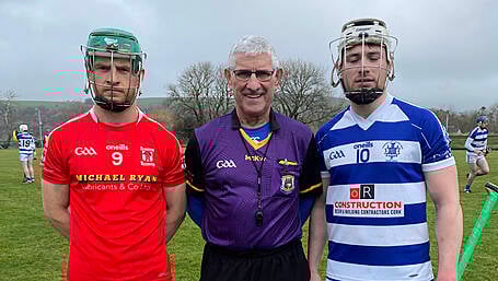 Newcestown, Bandon and Kilbrittain all win opening hurling league games Image