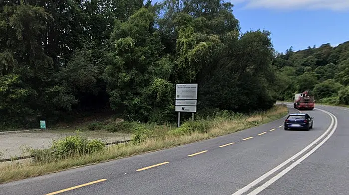 Delayed €3.5m Clare O'Leary walk in Bandon is ‘crazy stuff ’ Image