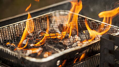 €1k fine mooted for BBQs Image