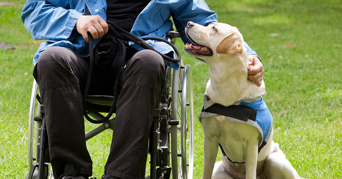 Ford launches test-drive fundraiser in Macroom and Cork city for Irish Guide Dogs