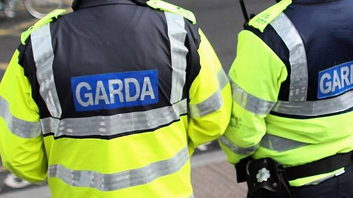 Gardaí at scene of fatal road crash in Crosshaven Image