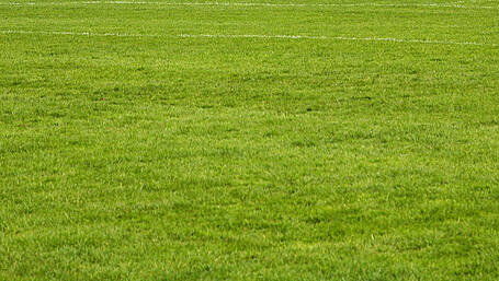 PITCH PERFECT: The search is on to find the best GAA pitch in West Cork Image