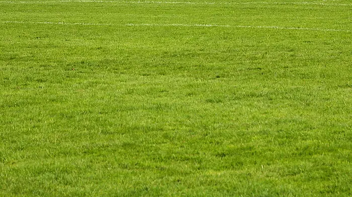 PITCH PERFECT: The search is on to find the best GAA pitch in West Cork Image