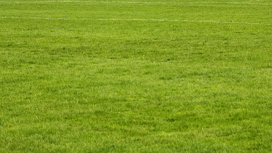 PITCH PERFECT: The search is on to find the best GAA pitch in West Cork Image