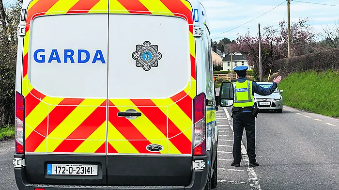 Division gets seven new Garda recruits to support community Image