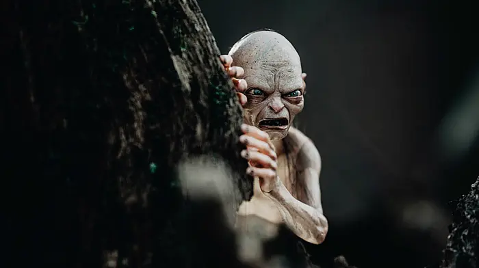Diary of a demented homeworker: Gollum and newfound respect for Miriam O'Callaghan Image
