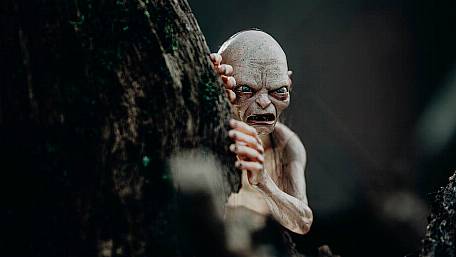 Diary of a demented homeworker: Gollum and newfound respect for Miriam O'Callaghan Image